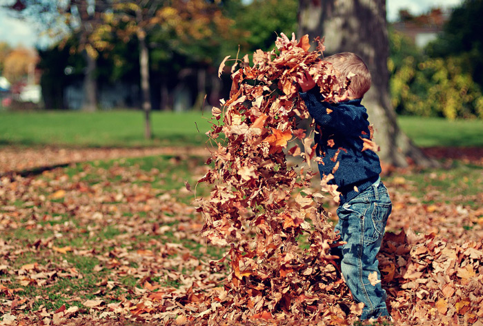 Otoño en Bergueda